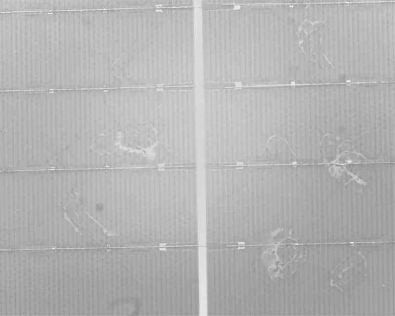 실리콘 웨이퍼 열화상 점검 이미지.jpg